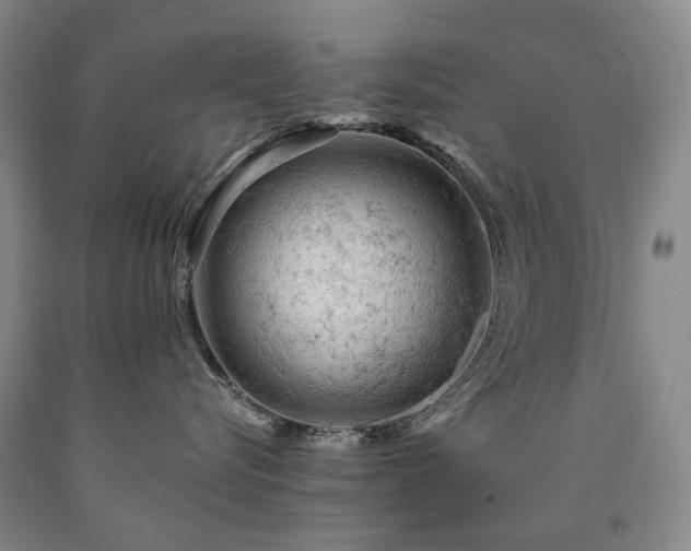 X0000090890576200707271335