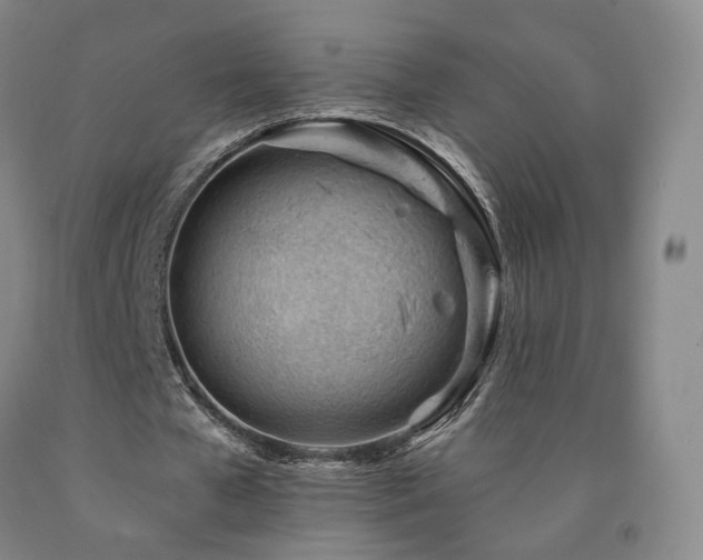 X0000090890577200707271334