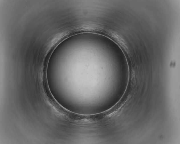 X0000090890578200707271334