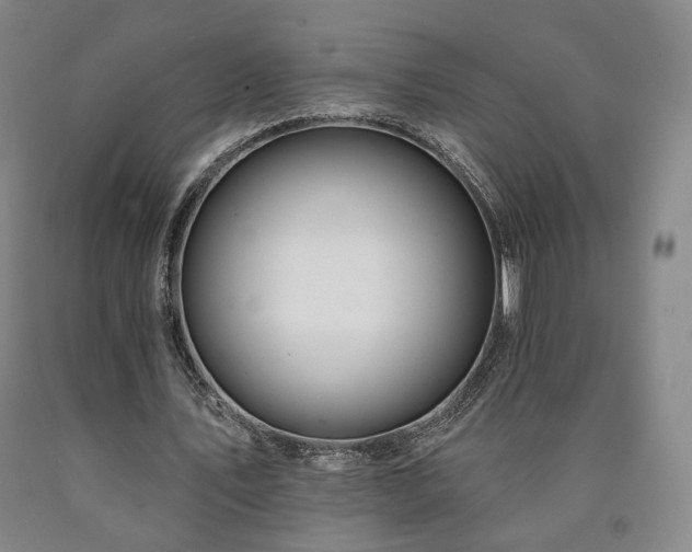 X0000090890579200707271334