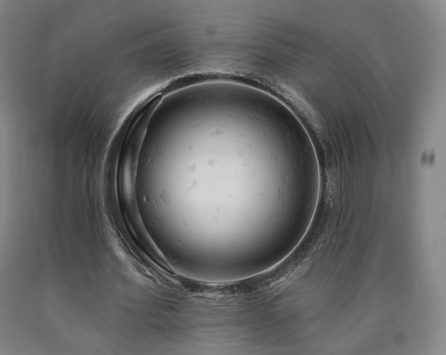 X0000090890580200707271334