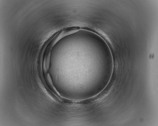 X0000090890581200707271334