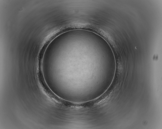 X0000090890582200707271334