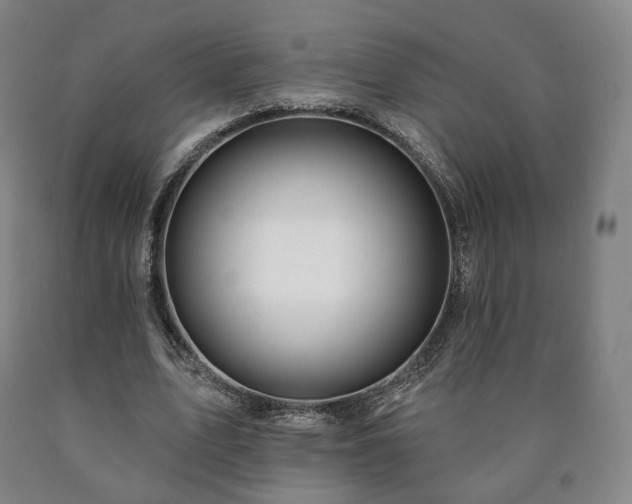 X0000090890583200707271334