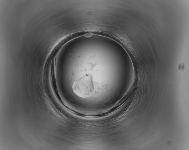 X0000090890584200707271334