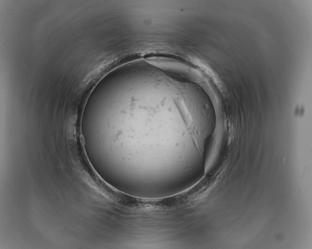 X0000090890585200707271334