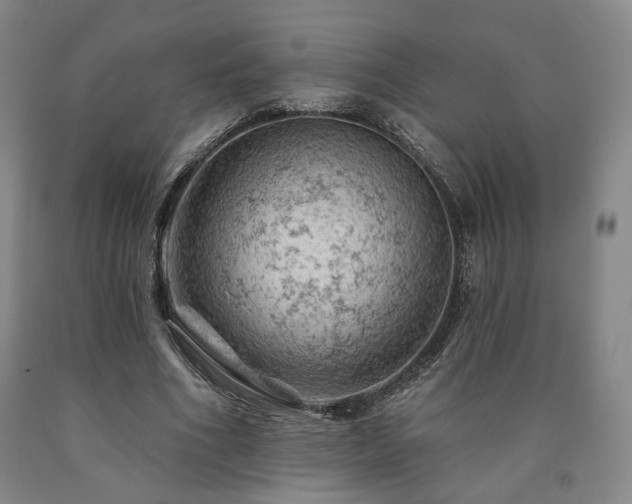 X0000090890586200707271334