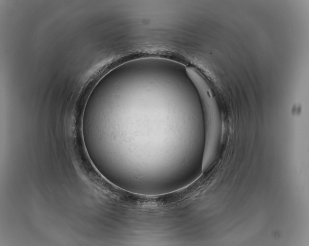 X0000090890587200707271334