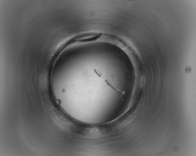 X0000090890588200707271334