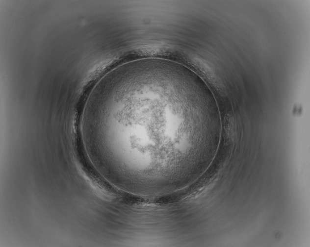 X0000090890590200707271334