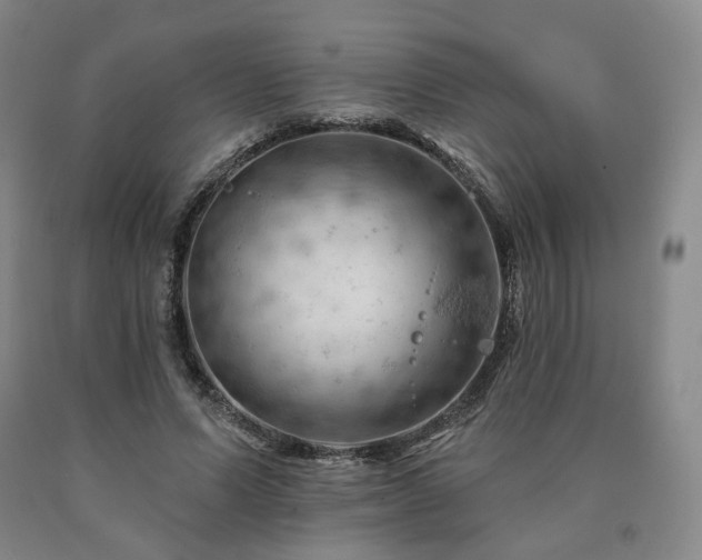 X0000090890591200707271334