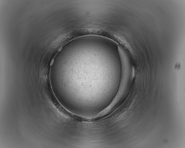 X0000090890593200707271334