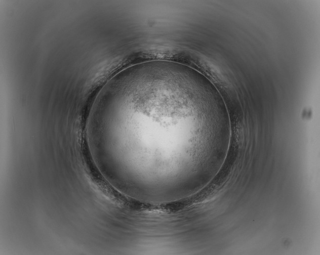 X0000090890594200707271334