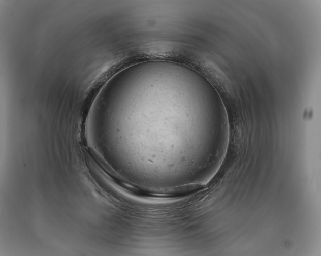 X0000090890596200707271334