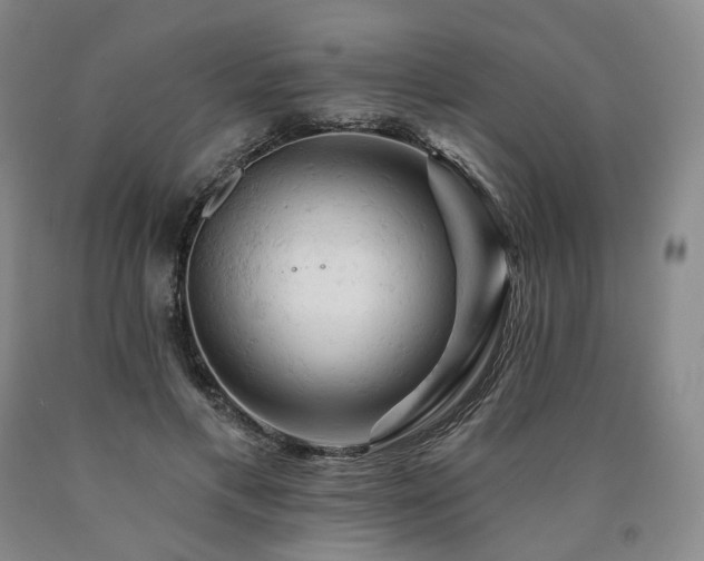 X0000090890597200707271334