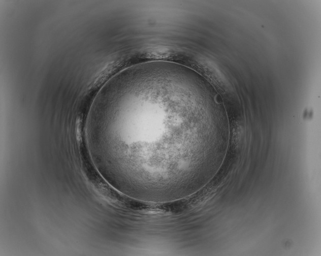 X0000090890598200707271333