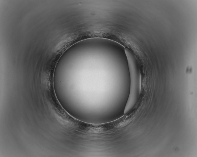 X0000090890599200707271333