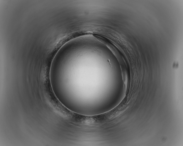 X0000090890600200707271333