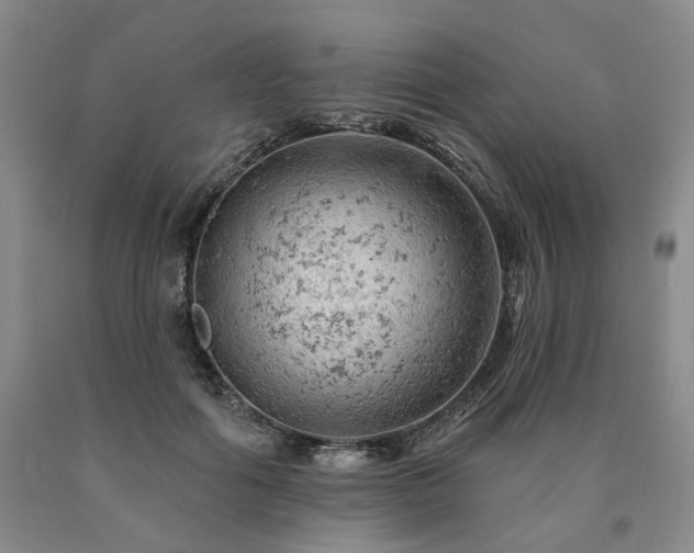 X0000090890602200707271333