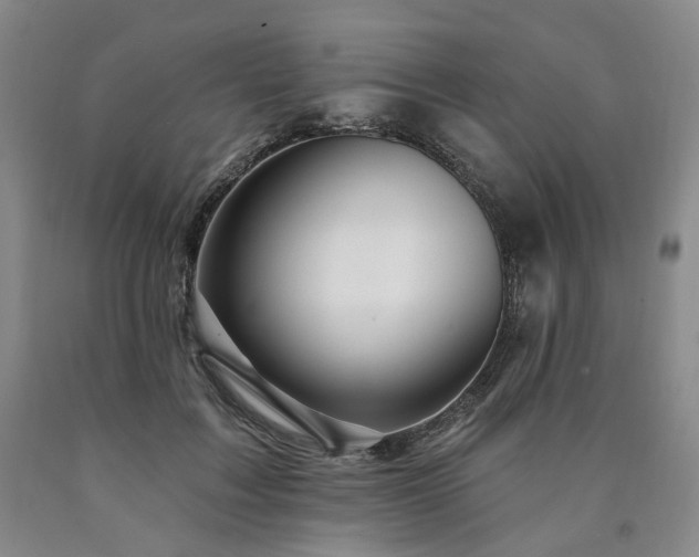 X0000090890603200707271333