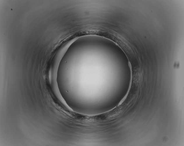 X0000090890604200707271333