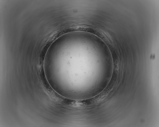 X0000090890607200707271333