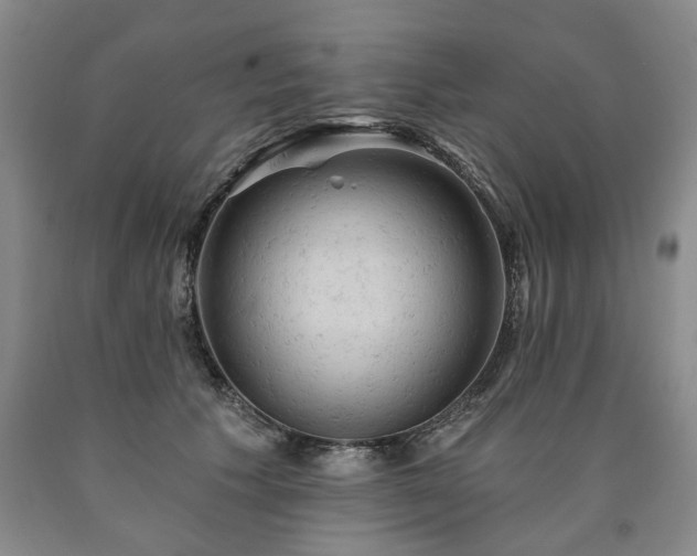 X0000090890609200707271333