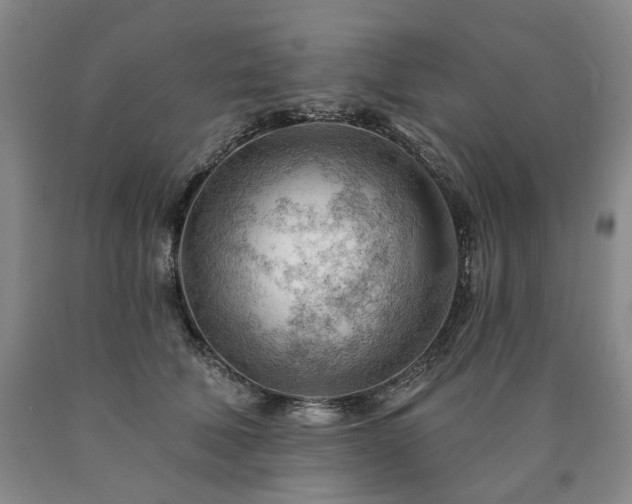 X0000090890610200707271333