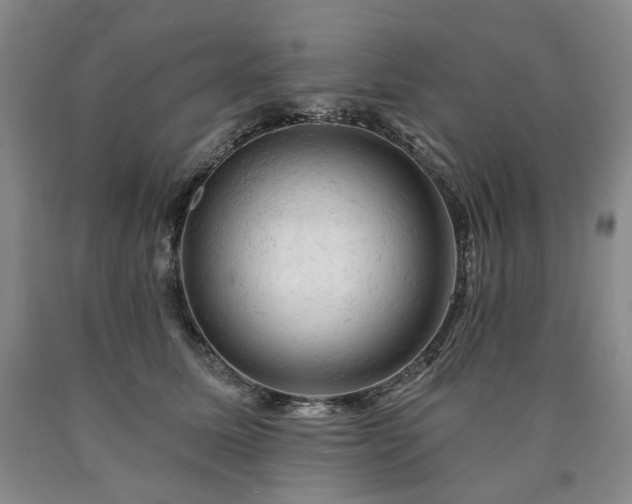 X0000090890611200707271333