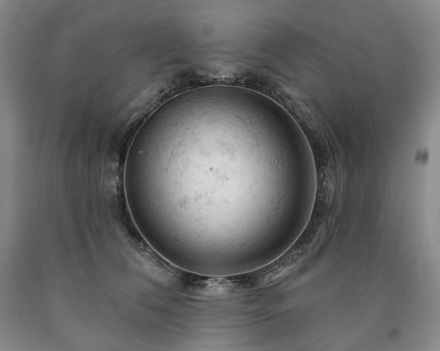 X0000090890612200707271333