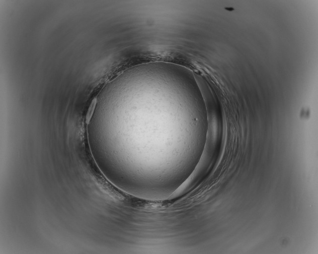 X0000090890613200707271333