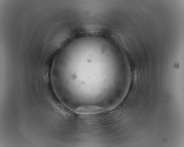 X0000090890615200707271333