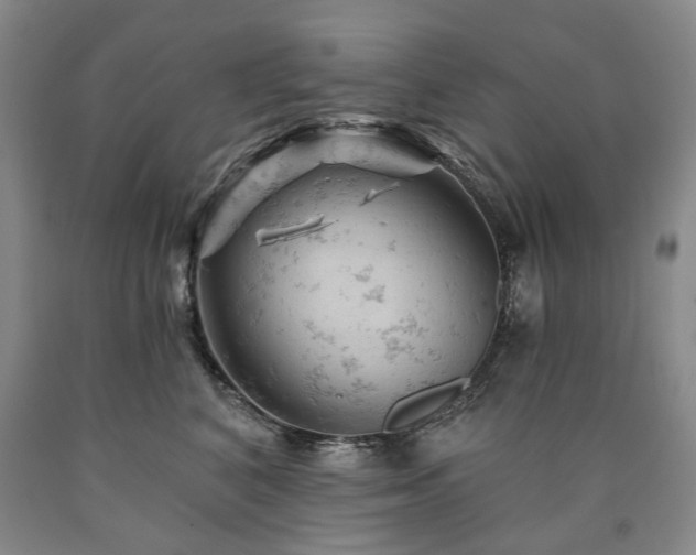 X0000090890616200707271333