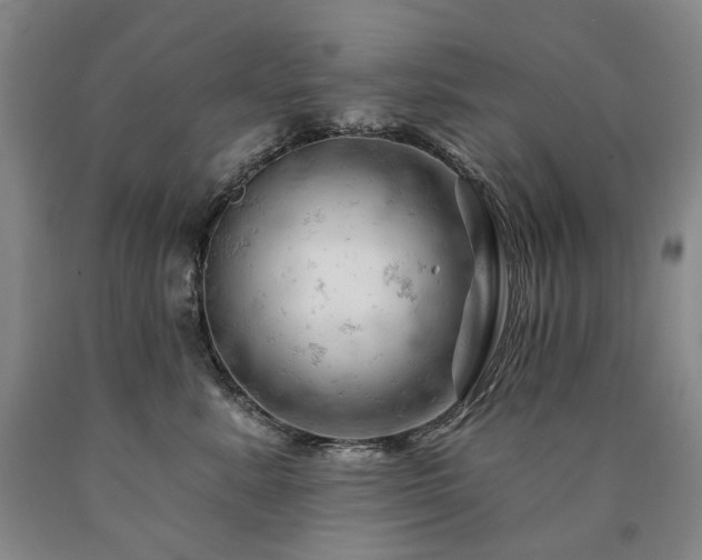 X0000090890619200707271333