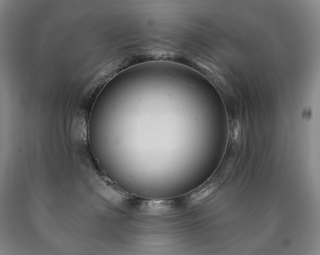 X0000090890622200707271333