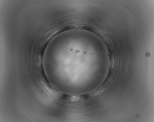 X0000090890623200707271333