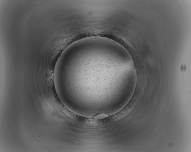 X0000090890624200707271333