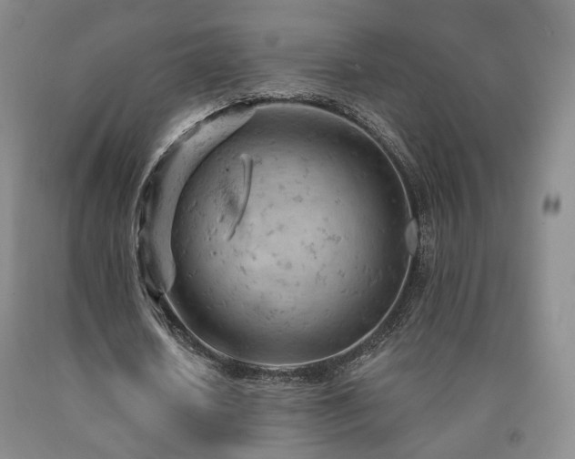 X0000090890626200707271332