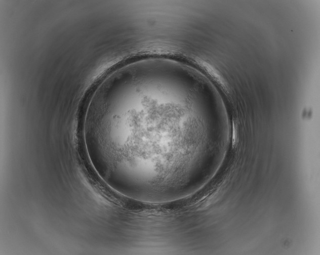 X0000090890627200707271332