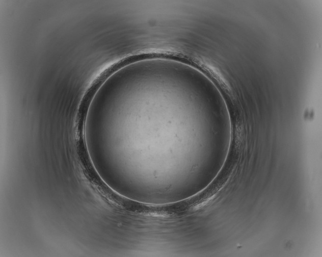 X0000090890628200707271332