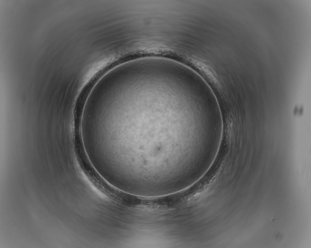 X0000090890630200707271332