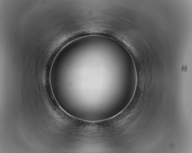 X0000090890631200707271333