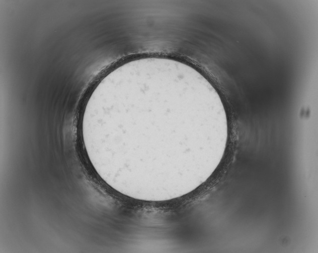 X0000090890632200707271333