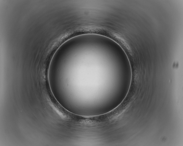 X0000090890633200707271333