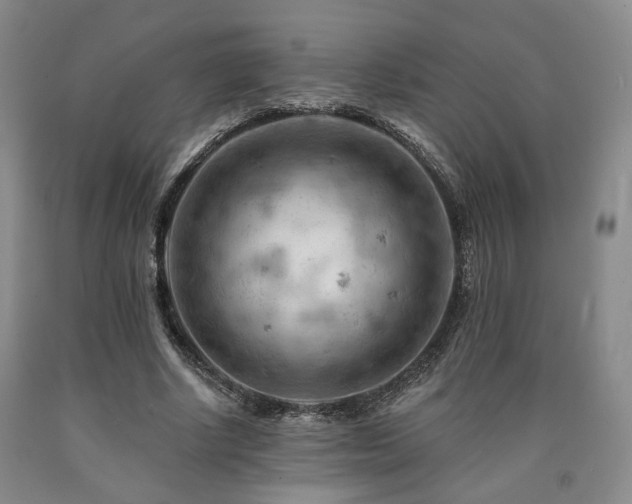 X0000090890634200707271333