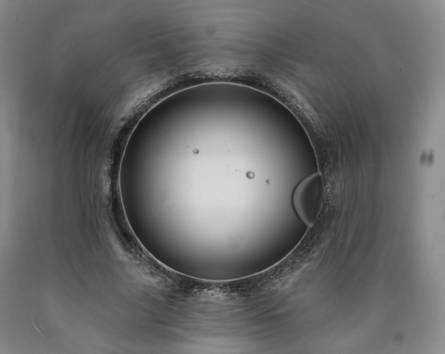 X0000090890635200707271333