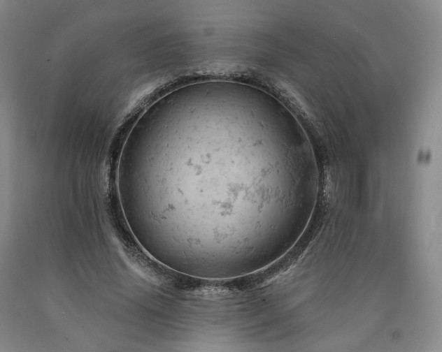 X0000090890636200707271333