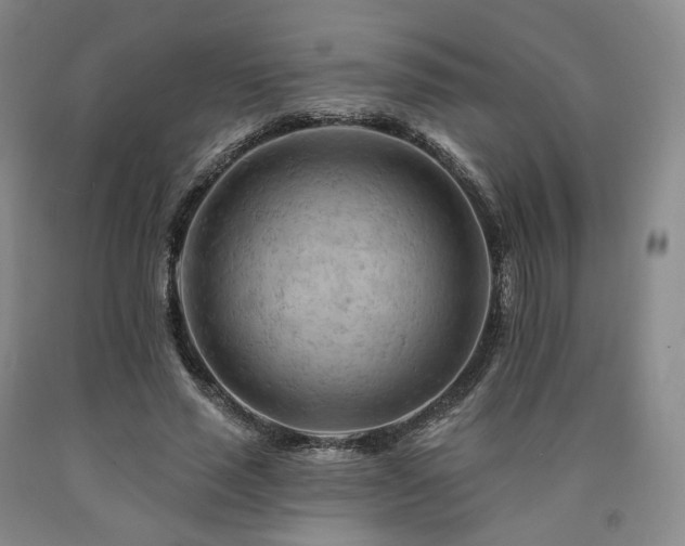 X0000090890637200707271333