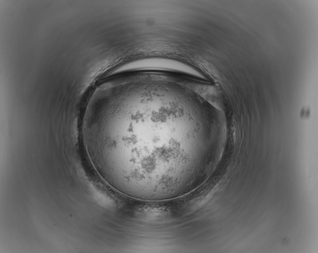 X0000090890638200707271333