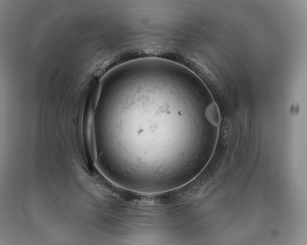 X0000090890639200707271333